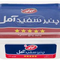 پنير آمل کپ دار