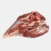 ران شتر مرغ