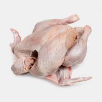 بوقلمون کامل