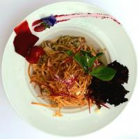 چیکن استراگانوف