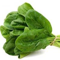 سبزی اسفناج