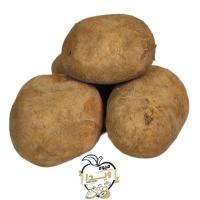 سیب زمینی ممتاز