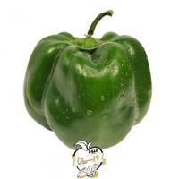 فلفل دلمه ای سبز