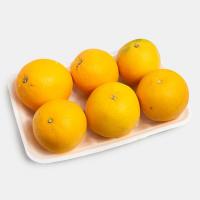 پرتقال ناول جنوب درجه 1