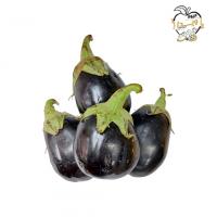 بادمجان لامپی