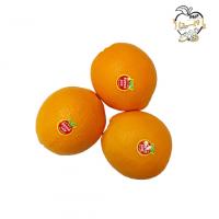 پرتقال ناول جنوب ممتاز