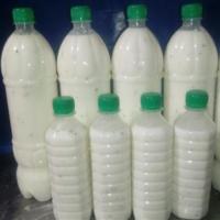 دوغ خانواده محلی