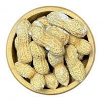 بادام زمینی غلافدار آستانه