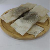 خشکار گیلان