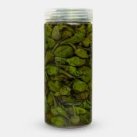 فلفل همدانی(بی بر)