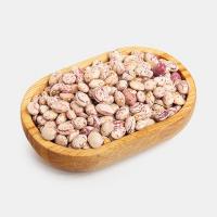 لوبیا چیتی خمین