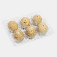 تخم کبک 6 عددی
