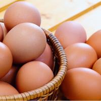 تخم مرغ محلی 