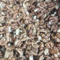 گردو فسنجانی 500 گرم