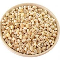 بلغور جو 400گرم 