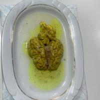 مغز