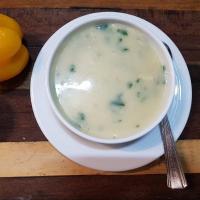 سوپ مرغ - رستوران هندی چینگاری