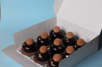 موس شکلات مونو پورشن 9 عدد (990 گرم)