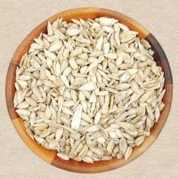 پک مغز تخمه آفتابگردان 150 گرم