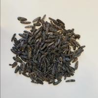 تخمه آفتابگردان شور