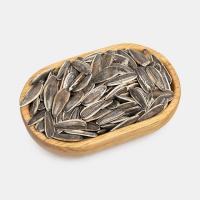 تخمه آفتابگردان