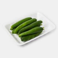 خیار خیارشوری