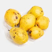 گلابی درجه 2