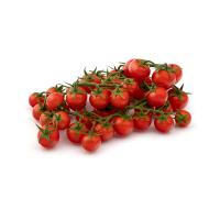 گوجه گیلاسی خوشه ای