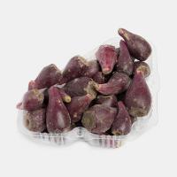 میوه کاکتوس شمال ممتاز 