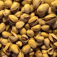 پسته فندقی خام