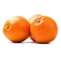 پرتقال شمال درجه 1