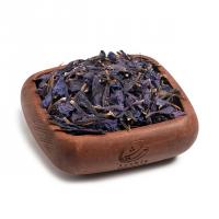 گل گاو زبان