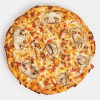 پیتزا مرغ - اژدر پلاس