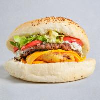 مخصوص ۲۰برگر