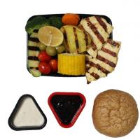 استیک سينه مرغ گريل رژيمي