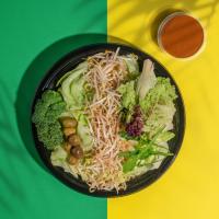 سالاد گاردن