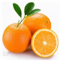 پرتقال شمال