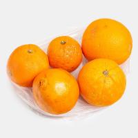 پرتقال جنوب درجه 2
