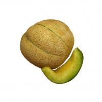 طالبی تو سبز آبگیری