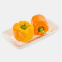 فلفل دلمه ای رنگی