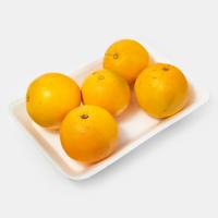 پرتقال شمال درجه یک