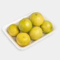 لیمو شیرین آبگیری