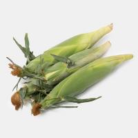 بلال مکزیکی