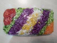 دیس سالاد فصل