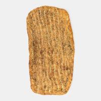 بربری سنتی خشخاش و سیاه دانه