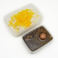 چلو خورشت قورمه سبزی اقتصادی