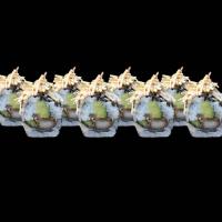 سوشی بخارپز