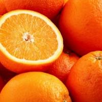 پرتقال جنوب