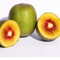 کیوی تو سرخ