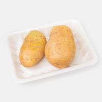 سیب زمینی درشت